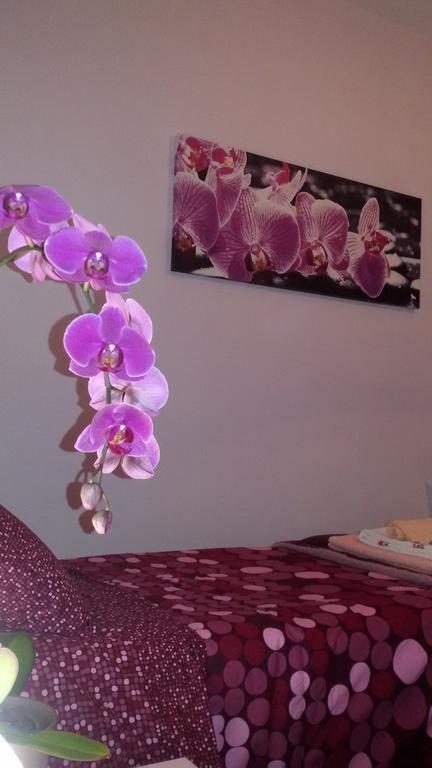 B&B Interno 8 Рим Стая снимка